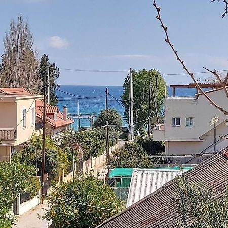 Lenia'S Loft Διαμέρισμα Αρτέμιδα Εξωτερικό φωτογραφία